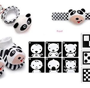 Black, White & Red Infant Stimulation Toy Trio
