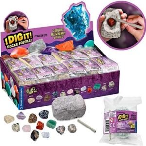Thames & Kosmos I Dig It! Rocks & Fossils - 24 Mini Excavation Kit Gift Set