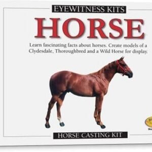 Skullduggery Eyewitness Kits Perfect Cast Horses Cast, Paint, Display and Learn Craft Kit