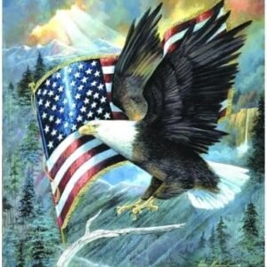 SUNSOUT INC American Eagle 500 pc Jigsaw Puzzle