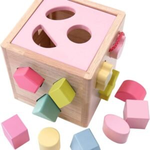 Babe Rock Shape Color Sorter Toddler Toy - Wooden Toddler Toy Color Recognition Shape Sorting Cube Lid for Toddlers Learning Sort and Match Toys for 3 Years Old Boys Girls