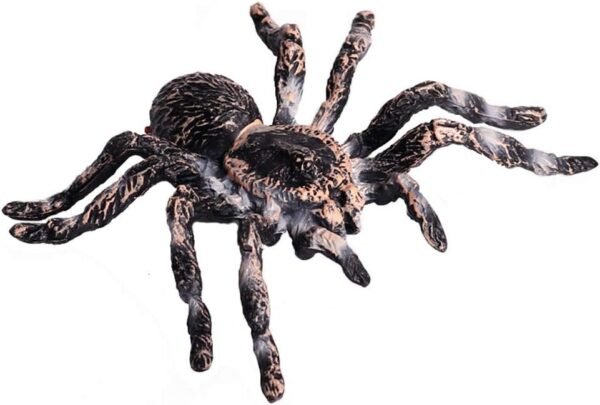 FLORMOON Realistic Animal Figures - Spider Action Model Lifelike Insect Toy Figures - Educational Learning Toys Birthday Gift Set for Boys Girls Kids Toddlers