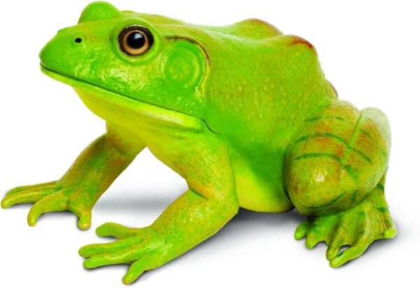 Safari Ltd  Incredible Creatures American Bullfrog