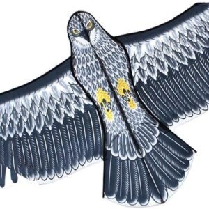 HENGDA KITE New 60-Inch Edge Eagle Kite