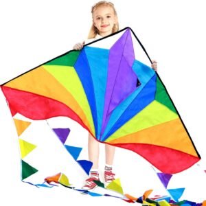 HONBO Large Delta Kites 54x31 for Kids and Adults for Beach Trip Outdoor Games,Perfect for Beginners,String Line Included Toys Easy to Fly Kites with Colorful Colors Tail