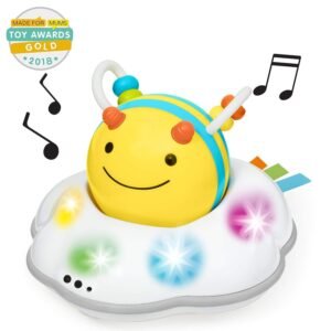 Skip Hop Explore & More Follow-me Bee 3-Stage Developmental Learning Crawl Toy