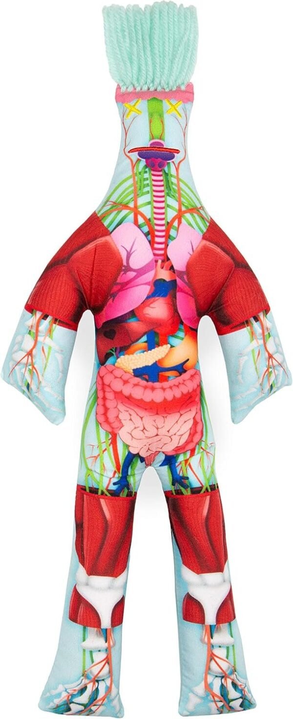 Dammit Doll - Limited Edition - Dammit Anatomy - Stress Relief, Gag Gift