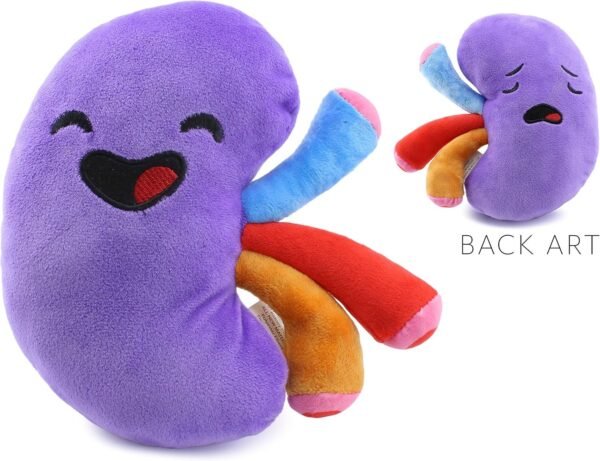 Attatoy Plush Kidney, Stuffed Body Organ Toy for Get Well Gift, Health Education and More